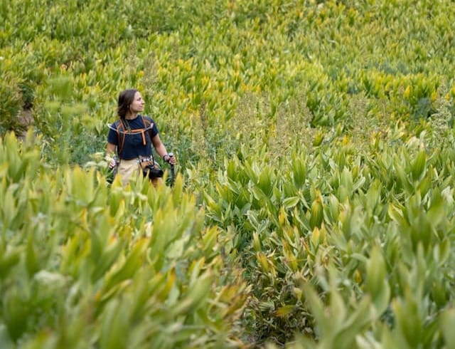 getting into a meadow and looking for a camp spot on the colorado trail