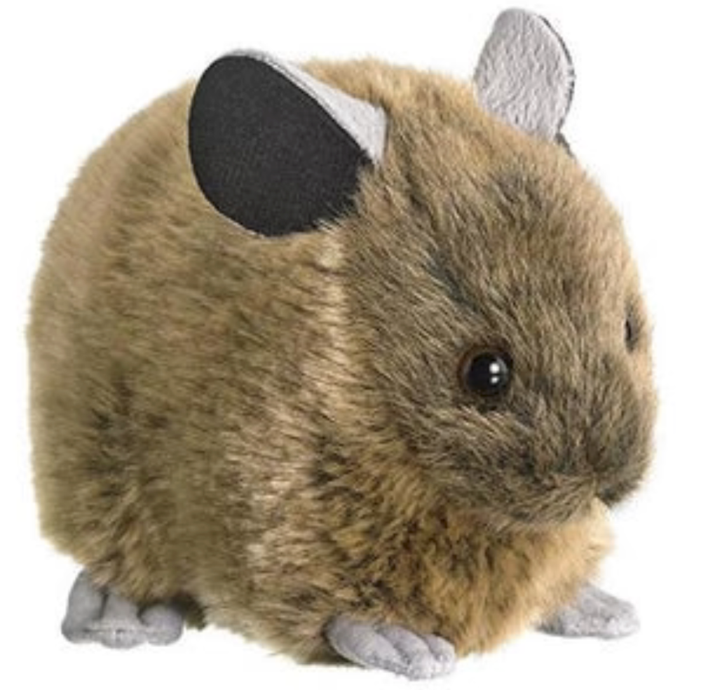 a stuffed american pika can be a great and fun way to experience the outdoors for neurodivergent folks who like to have an animal companion