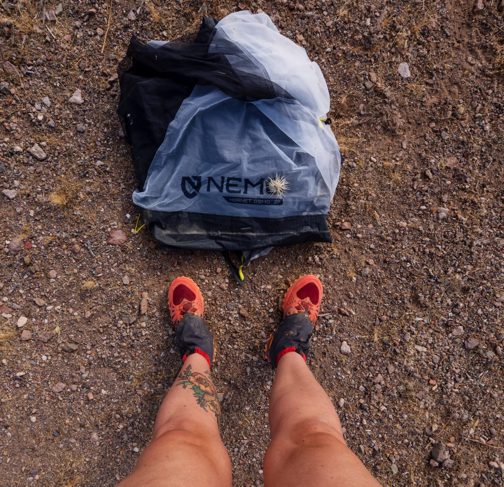 standing over tent with cholla on it sky island traverse