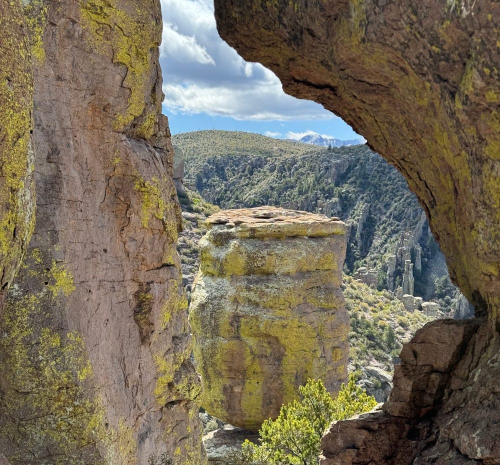 a view off trail in chiricahua national monument