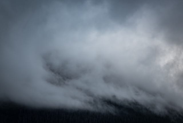 fog on the colorado trail