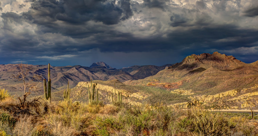 a vast desert landscape in the southwest that feels wild