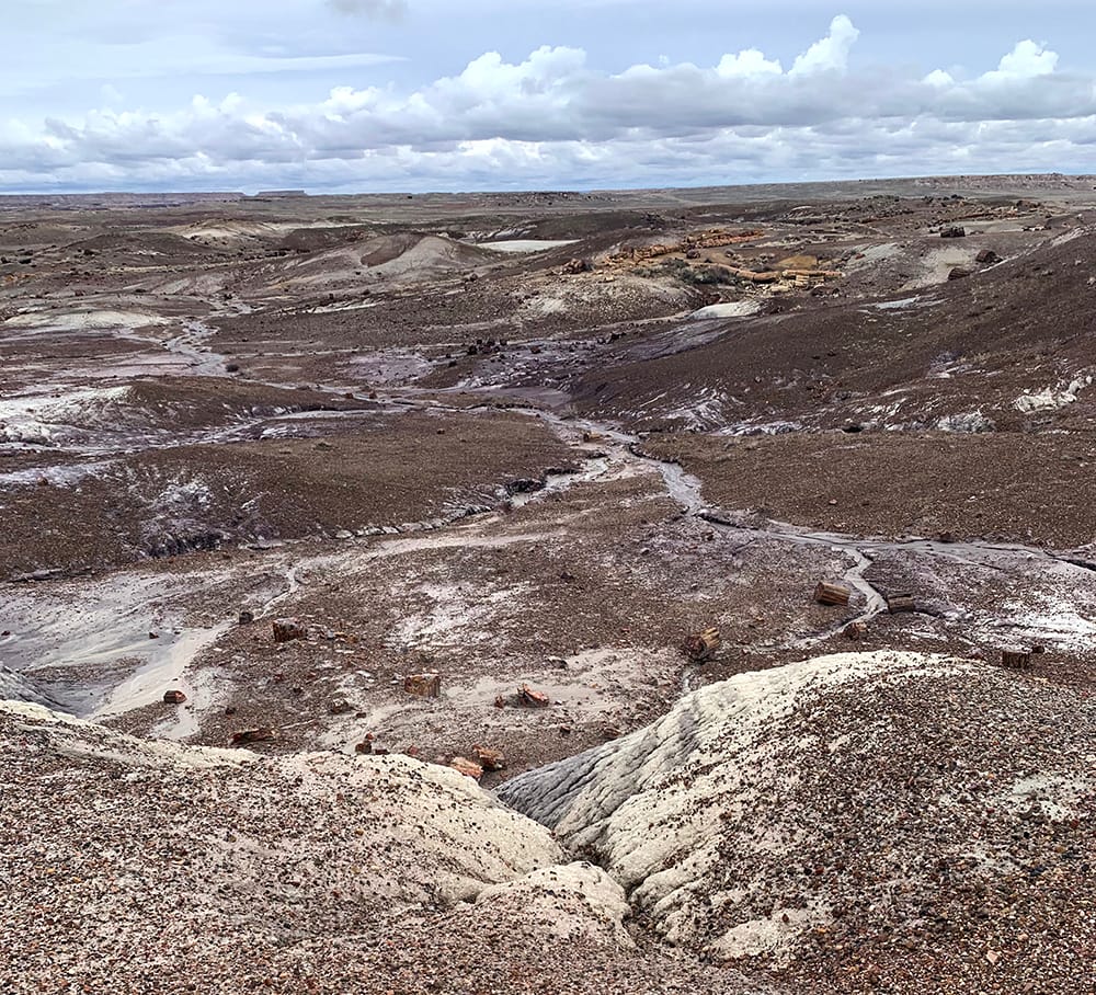 A magical vista along the crystal forest trail in arizona's painted desert