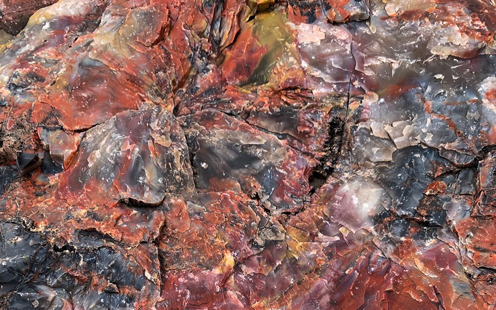 A beautiful piece of petrified wood along the Crystal Forest Trail in petrified forest national park