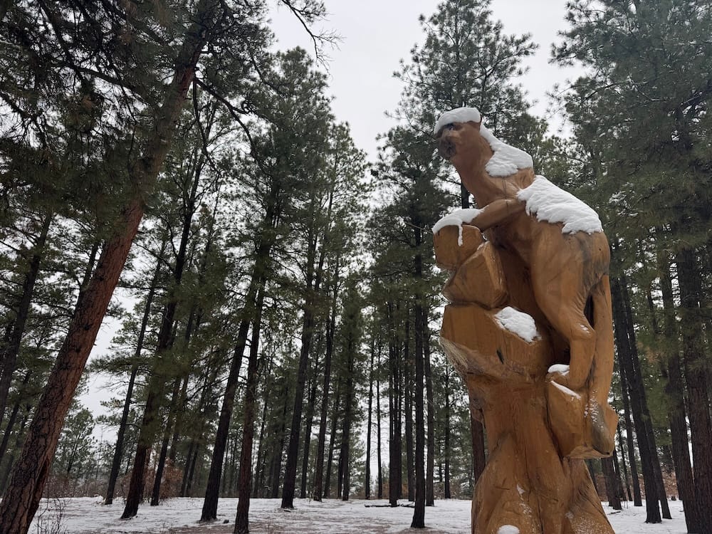 A carving along the Reservoir Hill trail system in Pagosa Springs