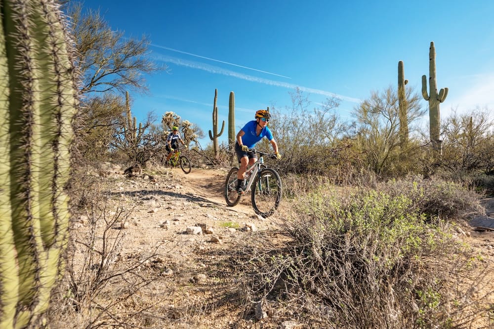 Mountain bikers coming down a mixed use trail