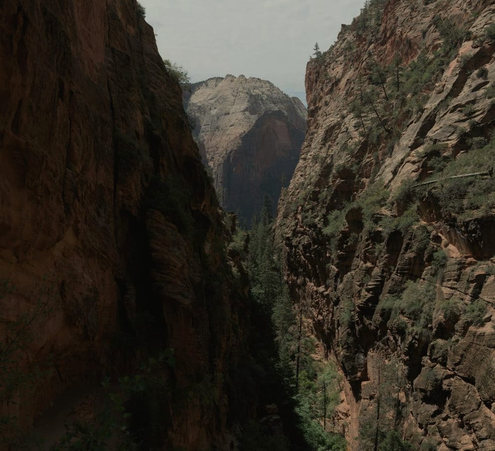 angels landing in zion national park is a hike not for the faint of heart due to its heights like the one pictured here