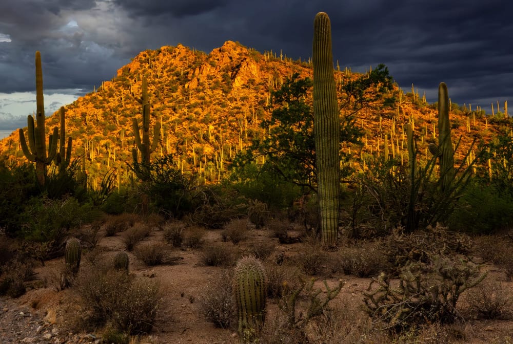 glow hits a mountain in the sonoran desert before the heat of day hits. photographed by an expert hiker