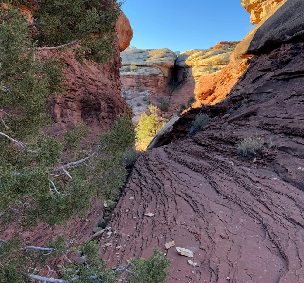 a small slot canyon to go through on the Salt Flat and Big Spring Canyon Loop in Canyonlands National Park