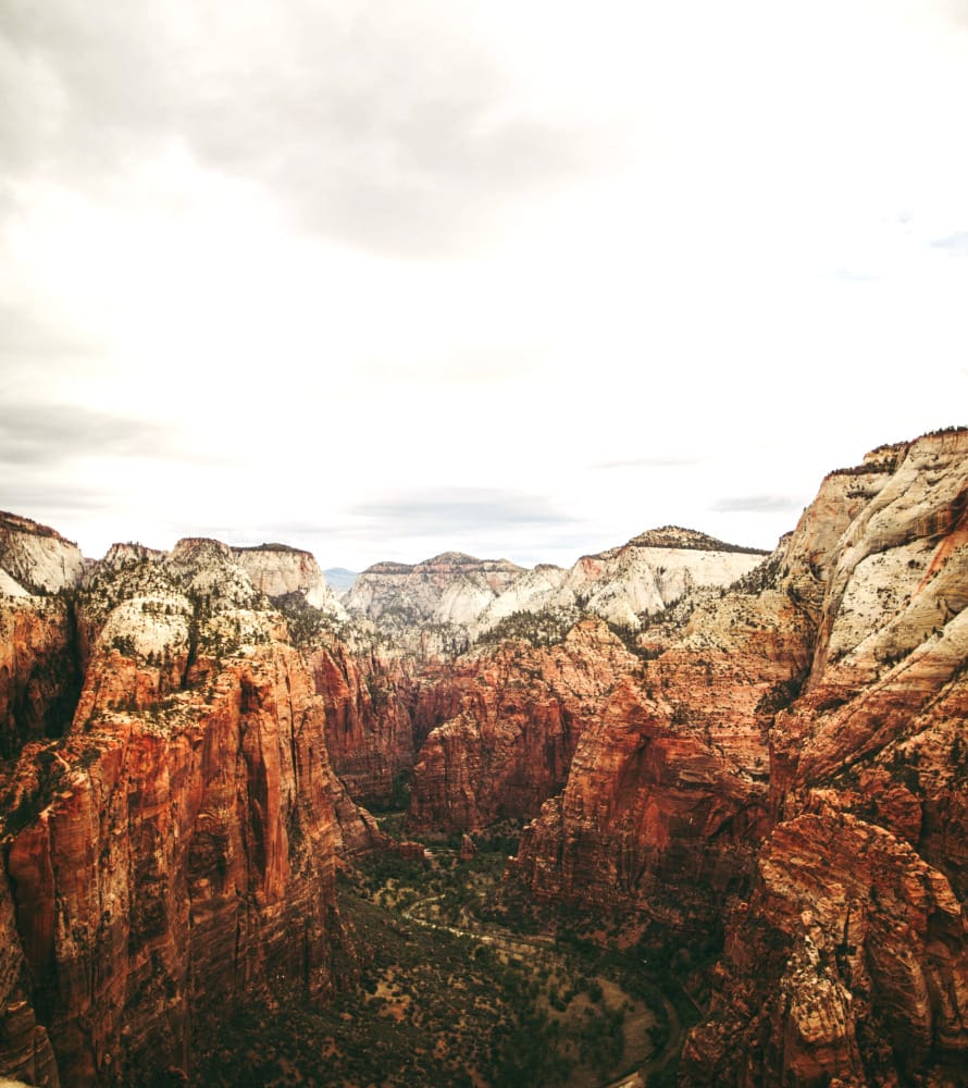 the summit view of angels landing in zion national park