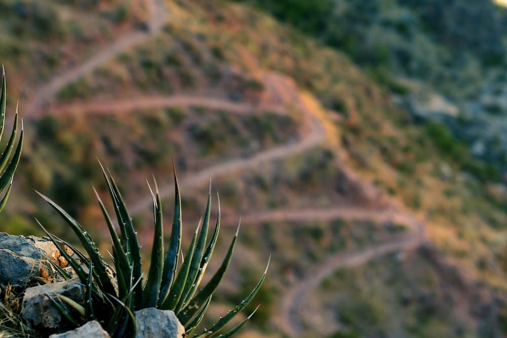 The Bright Angel Trail Hunger Scare