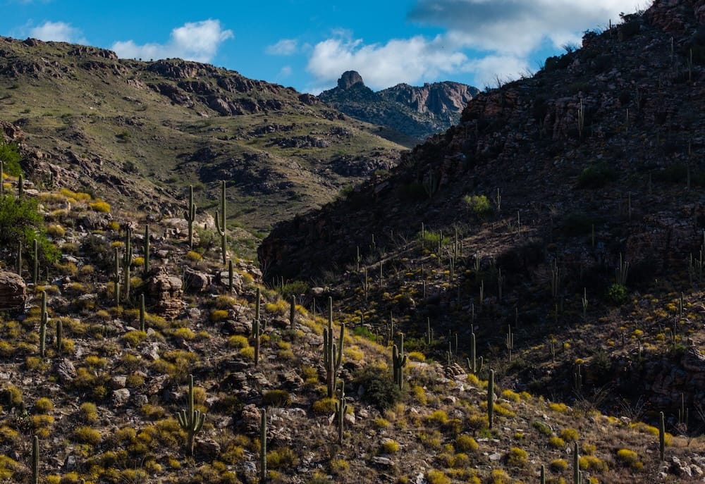 Leave No Trace: Essential Practices for Responsible Hiking in the Southwest