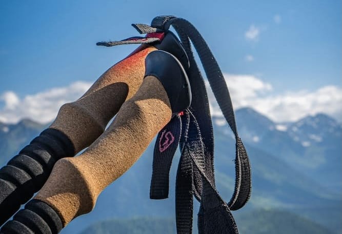 trekking poles for hiking