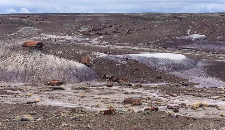 a wide landscape in petrified forest national park along the crystal forest trail