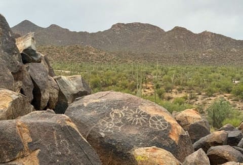 signal hill in saguaro national park