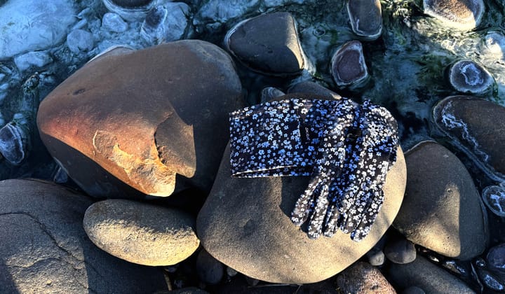 skida pursuit headband and liner gloves along the shore of an icy river a hiker was passing by